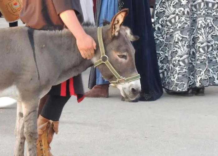 Melisa 4 By Interhome Poreč